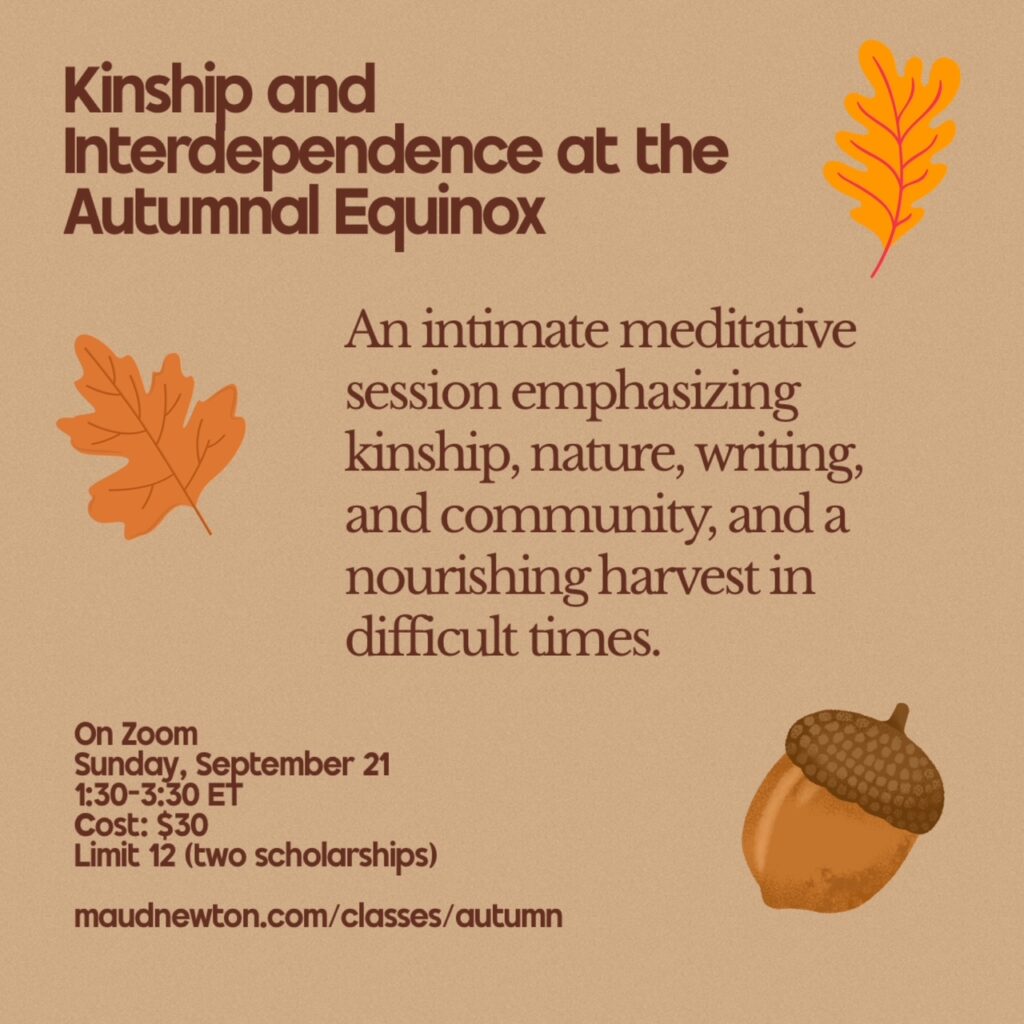 Image has a tan background and brown text, with images of an acorn and two oak leaves. Text reads: Kinship and Interdependence at the Autumnal Equinox. An openheareded meditative session emphasizing kinship, writing, and community, and a nourishing harvest in difficult times. On Zoom. Sunday, September 21. 1:30-3:30 ET. Cost: $30. Limited to 12, with two scholarships. maudnewton.com/classes/autumn